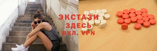 гашик Алексин