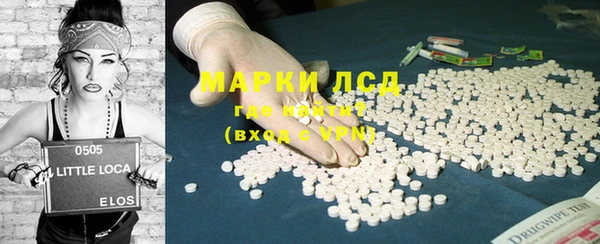 гашик Алексин