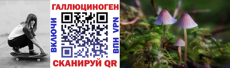 сколько стоит  Королёв  Псилоцибиновые грибы Psilocybine cubensis 
